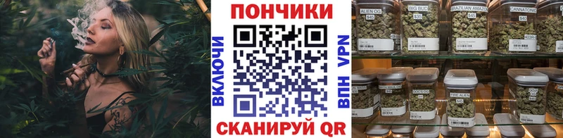МАРИХУАНА SATIVA & INDICA  купить наркотики цена  Бронницы 